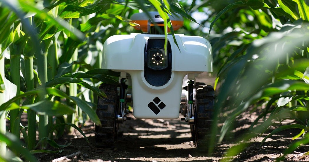 Agricultural robot working in crop