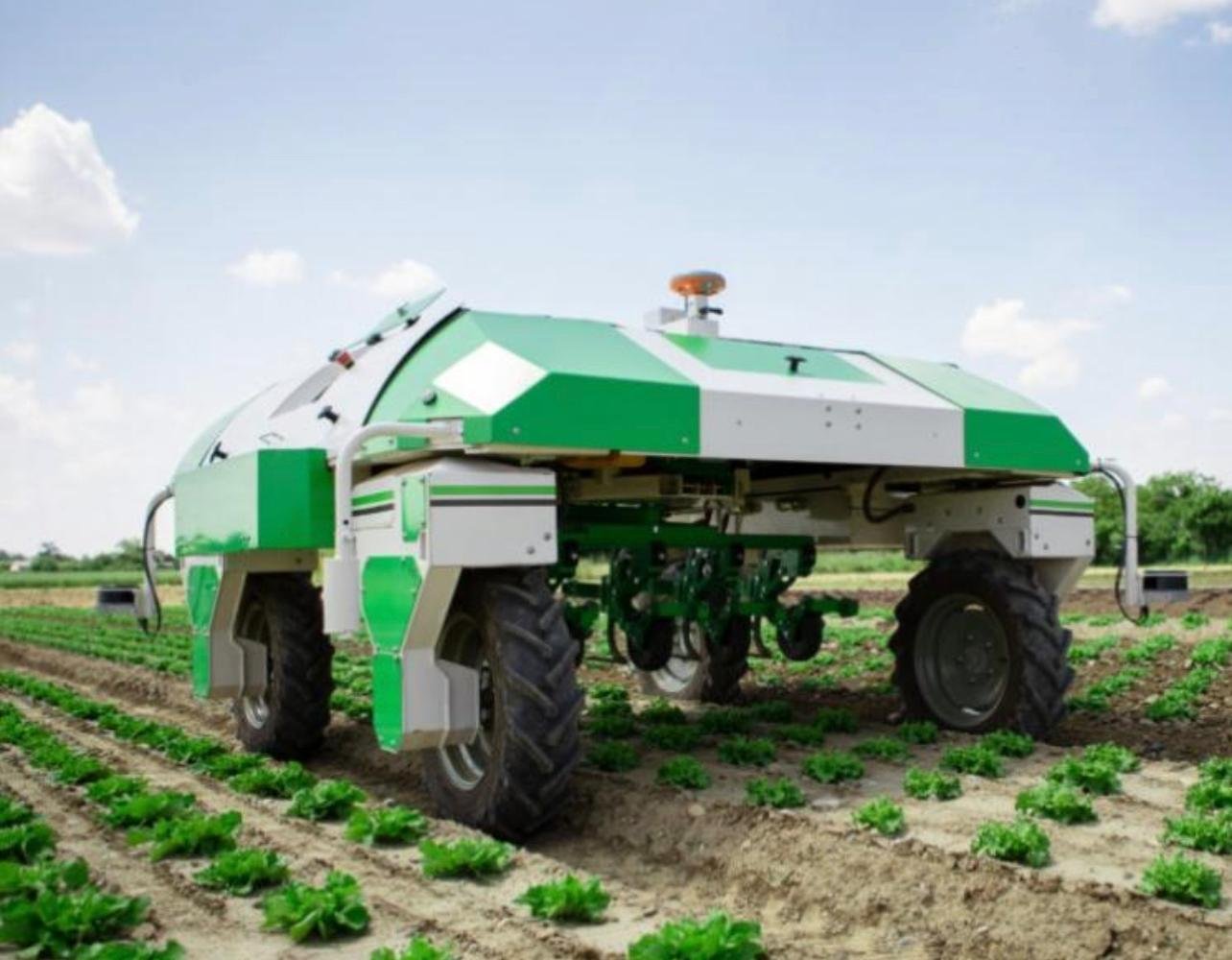 Crop monitoring and scouting