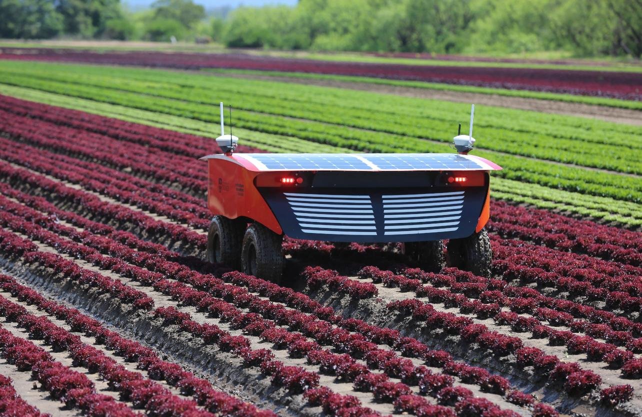 Targeted crop spraying