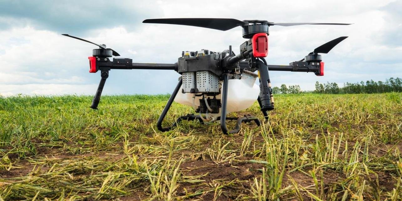 Robotic seeding and planting